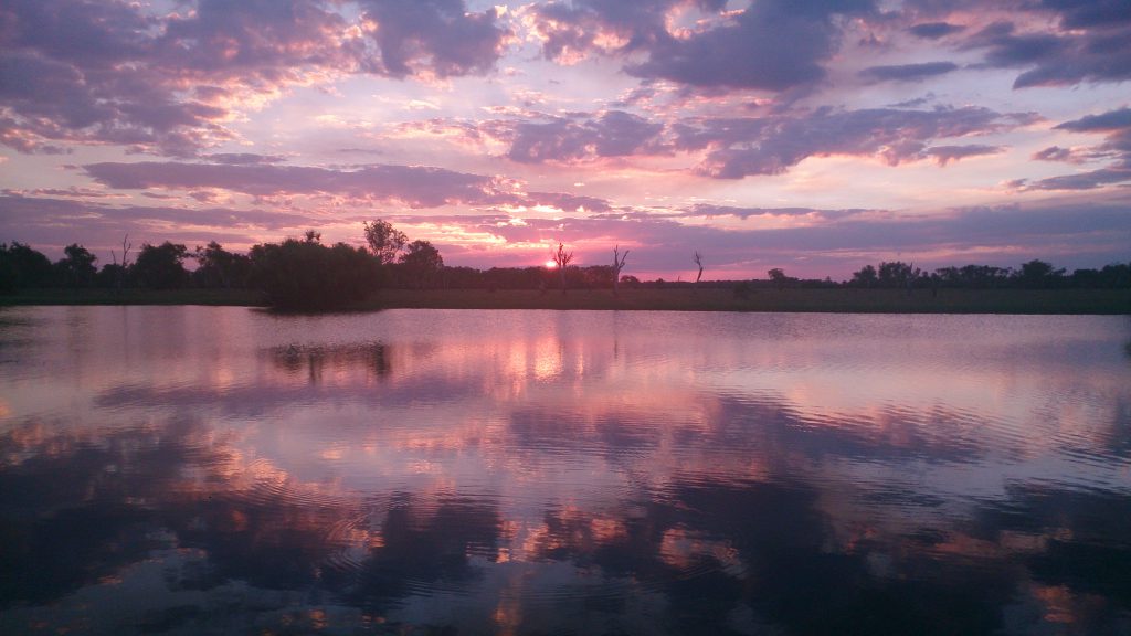 Pink sunset Yellow Water Kakadu NT Australia