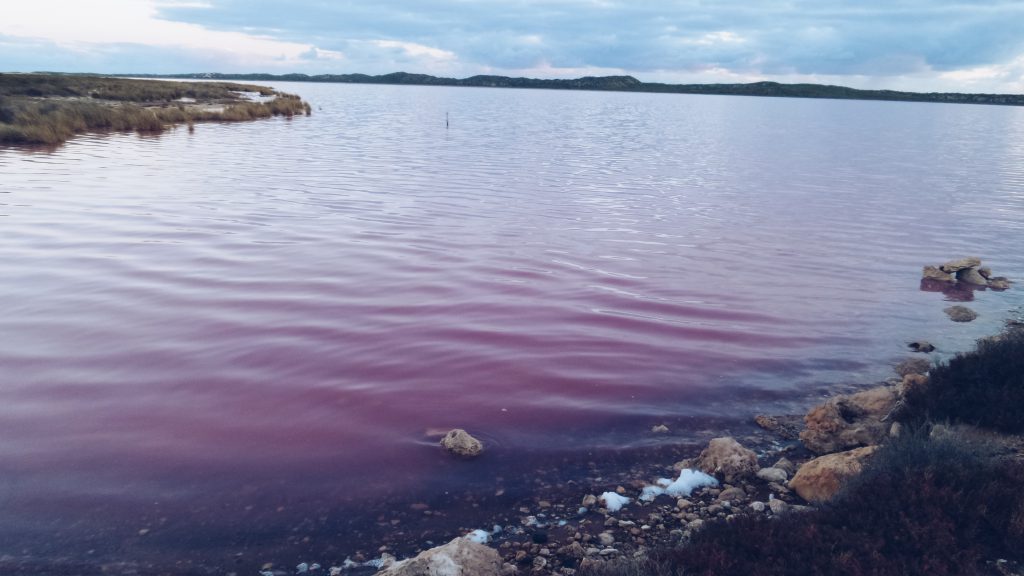 Pink Lake WA