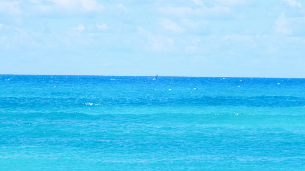 Whale watching at Fraser Island