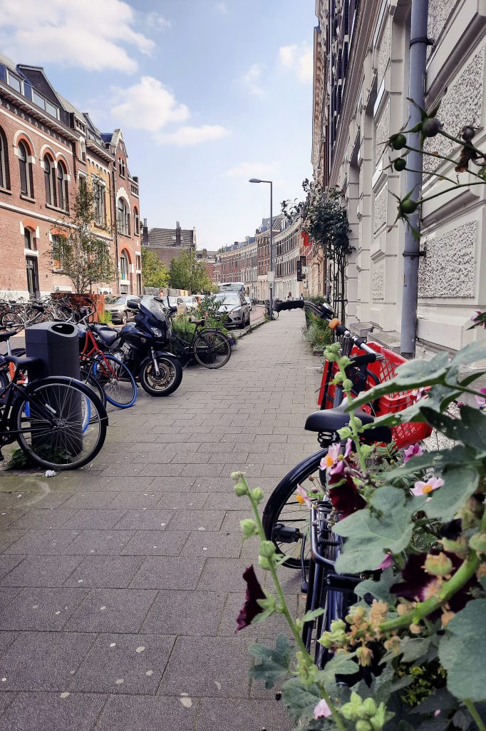 Proveniersstraat Rotterdam city center