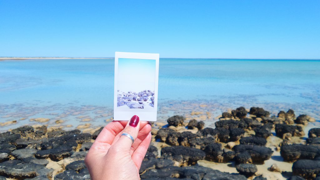 Polaroid picture Hamelin Pool Stromatolites Shark Bay WA