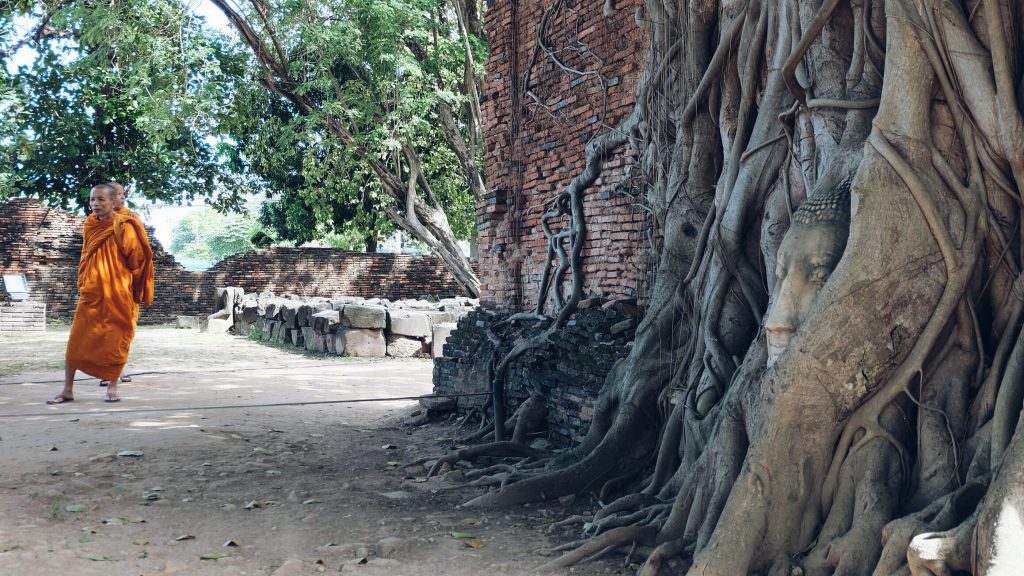 Monks at Wat Maha That Buddha head in tree