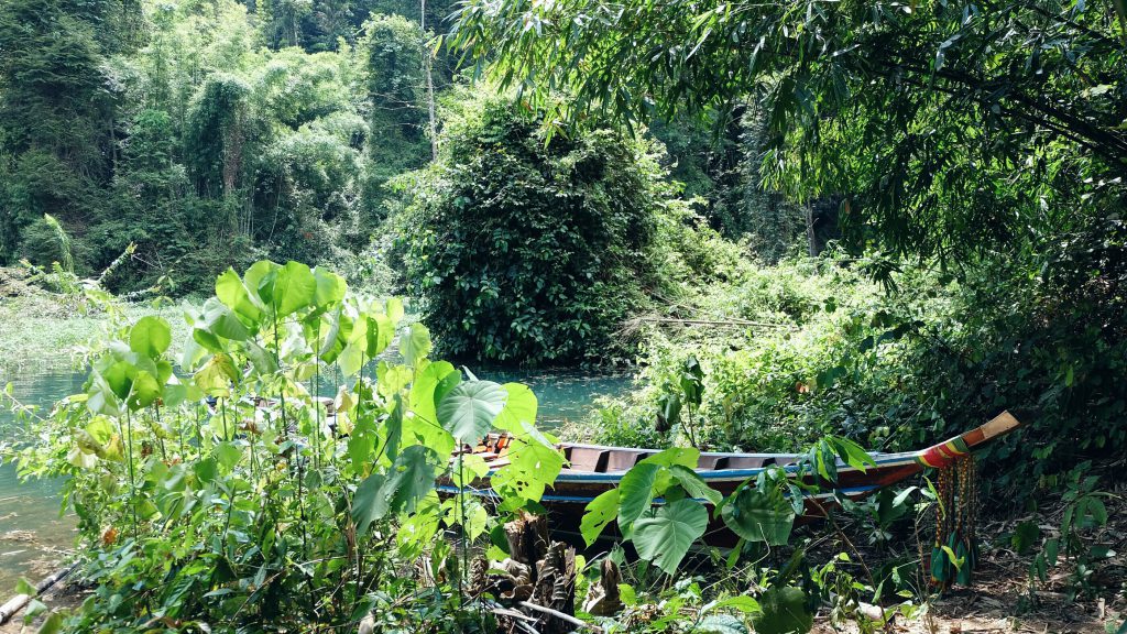 jungle hike Khao Sok Thailand