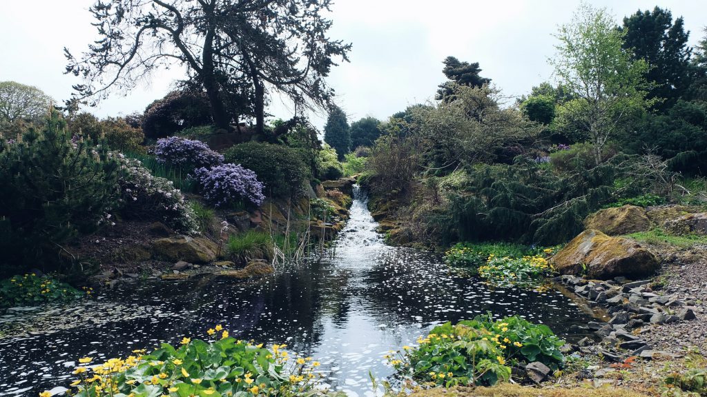 Visit Royal Botanic Gardens Edinburgh Scotland