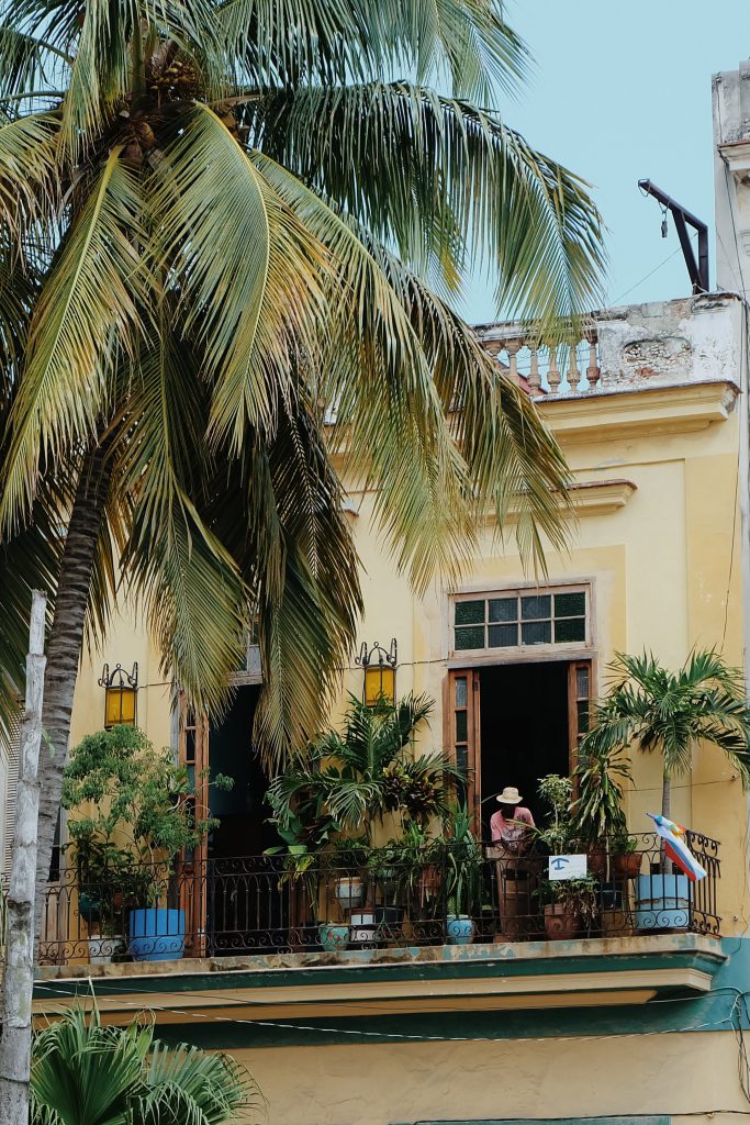 palm trees balcony Havana Vieja