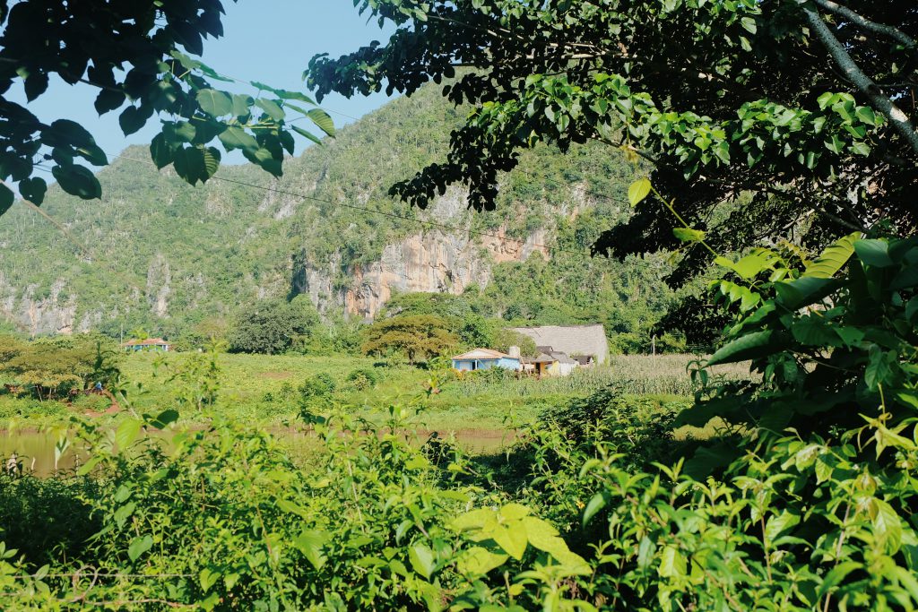 Viñales valley farm house Cuba countryside