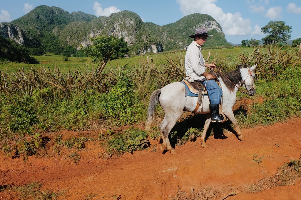 Horseback riding tour Viñales valley Cuba