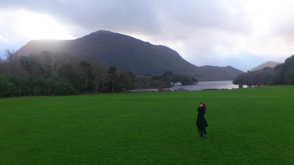 green landscape Ireland Killarney NP Ring of Kerry