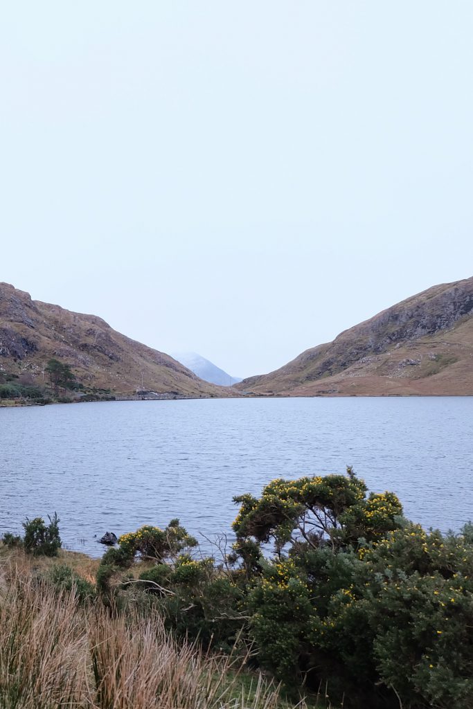 fantastic views Connemara NP roadtrip Ireland