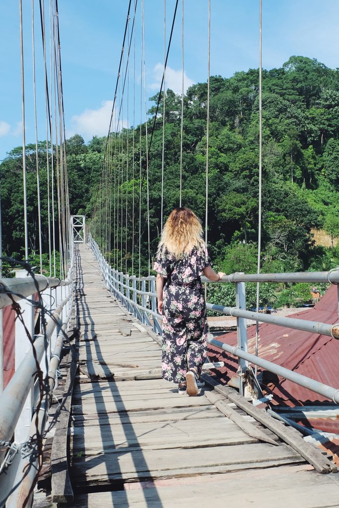 jungle bridge Bukit Lawang Sumatra Indonesia