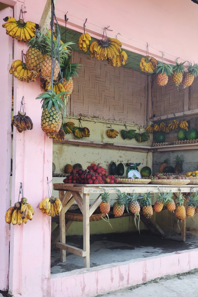 pink fruit stall jungle village Bukit Lawang Sumatra