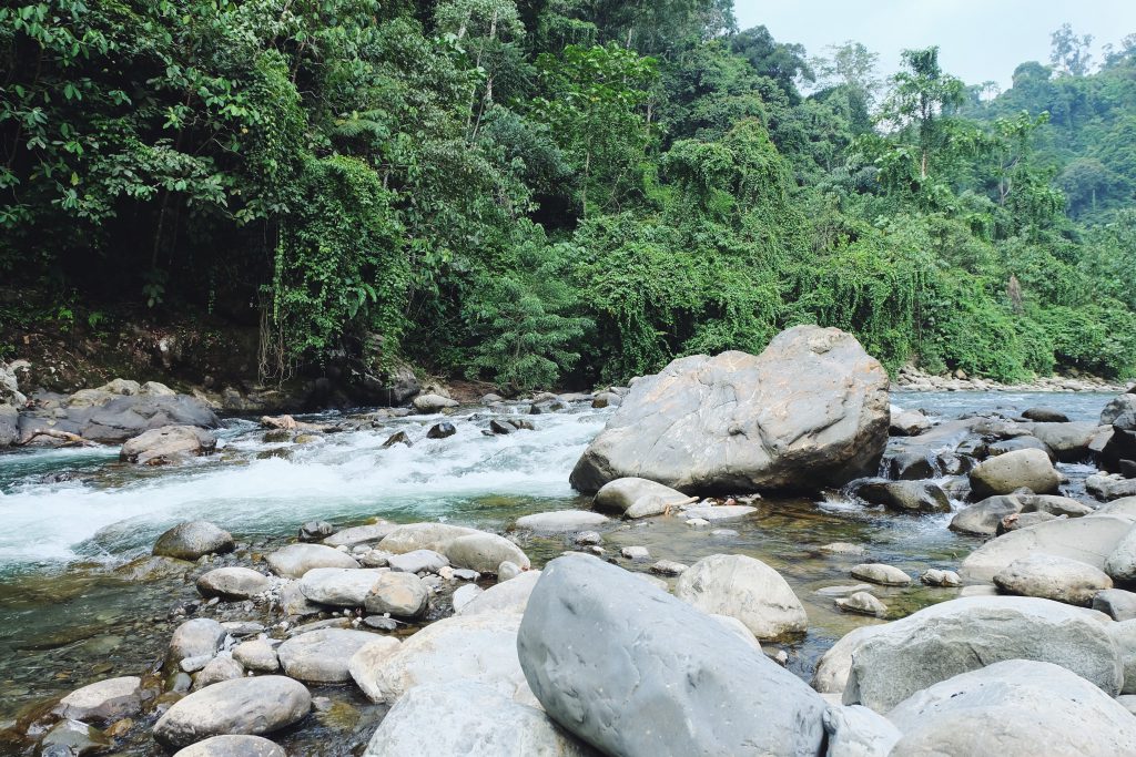 private beach Back To Nature Bukit Lawang river