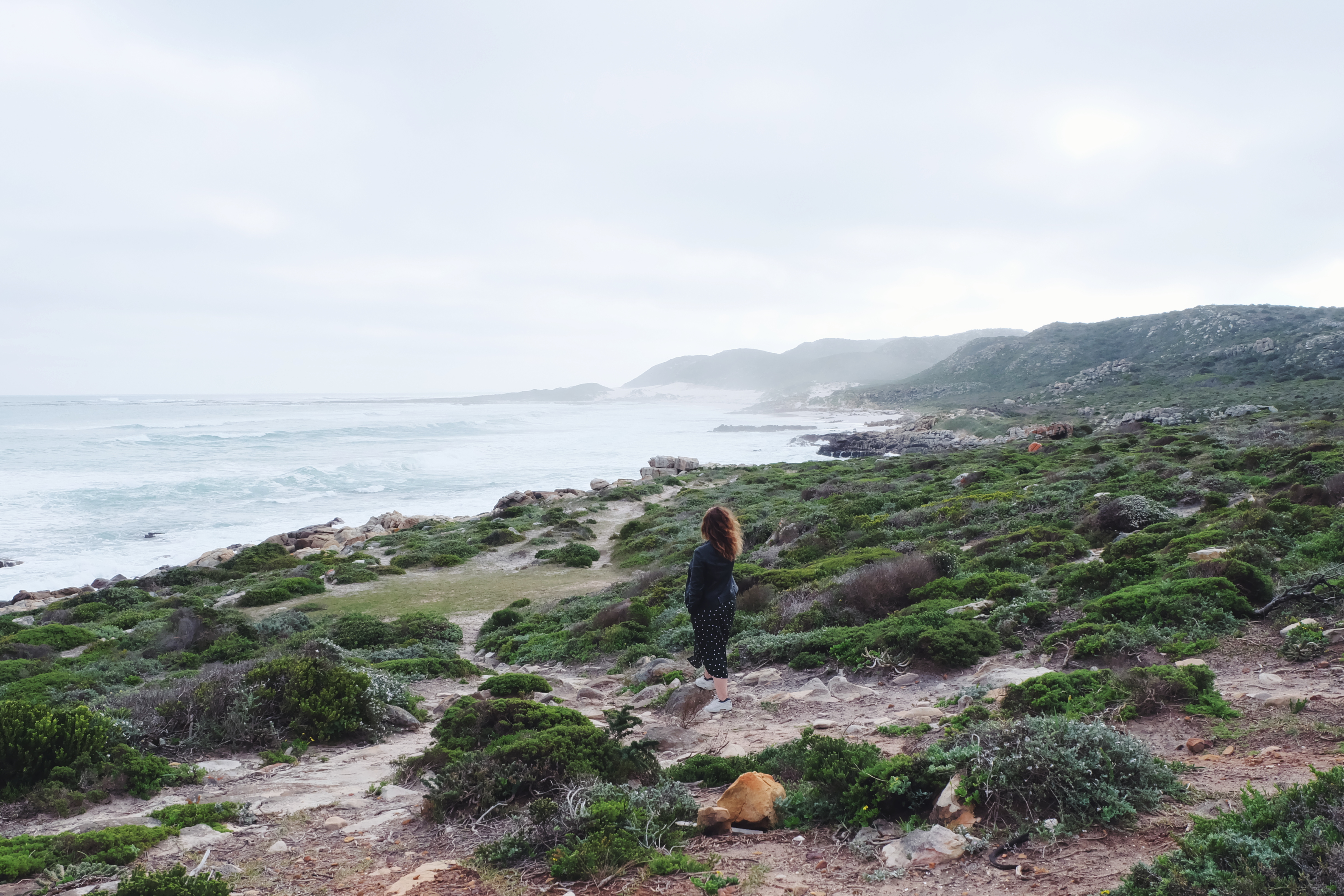 Cape of Good Hope South Africa