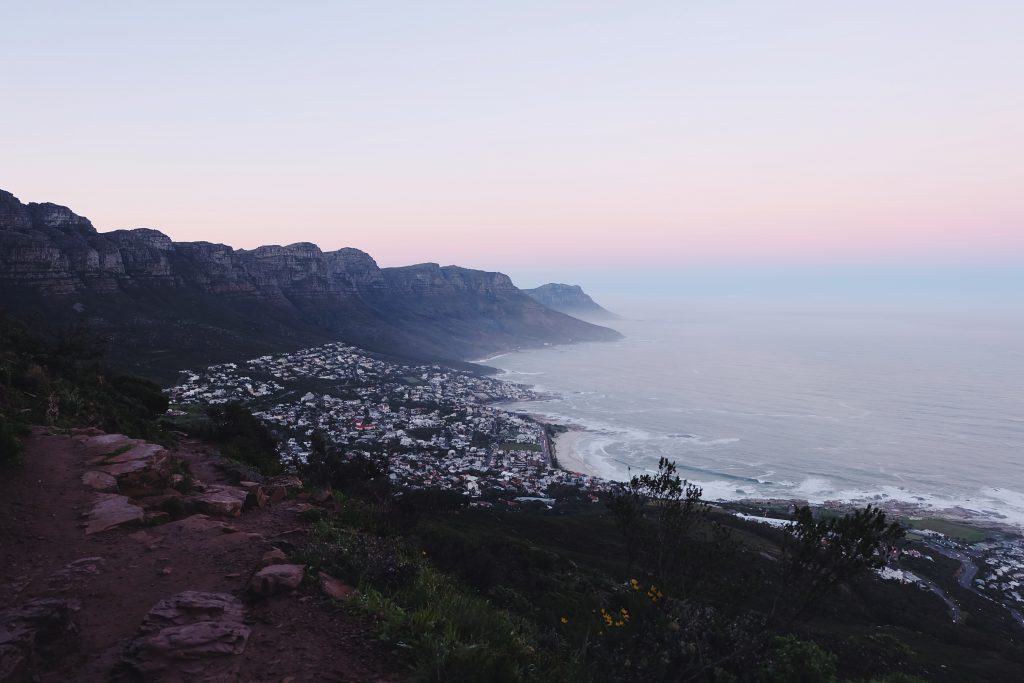 morning glory Cape Town Lion's Head