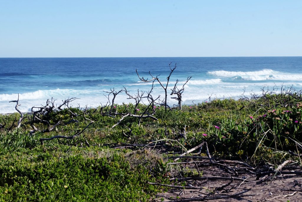 view Sacramento Trail Sardinia Bay SA