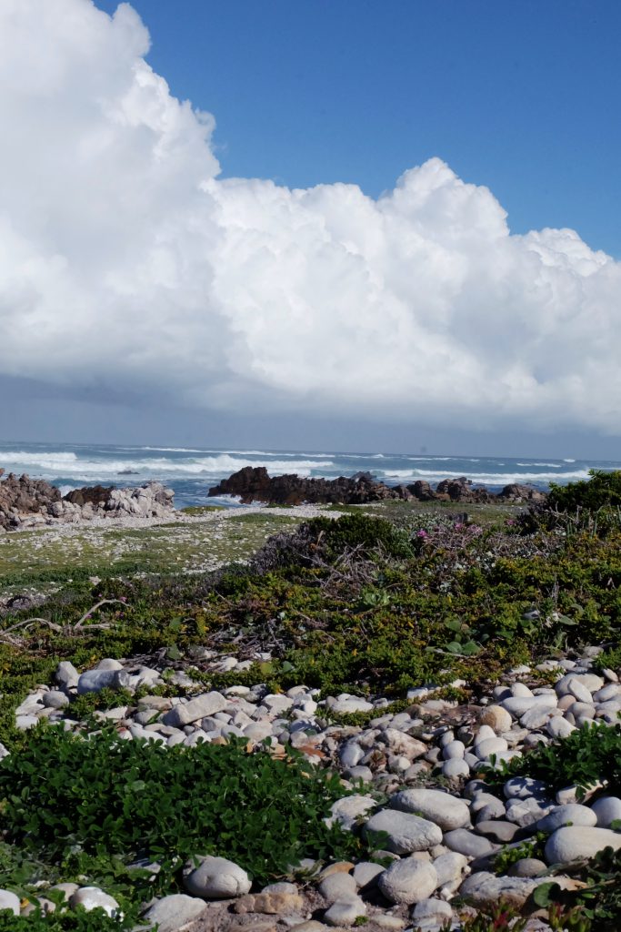 Ocean picture L'Agulhas Western Cape SA