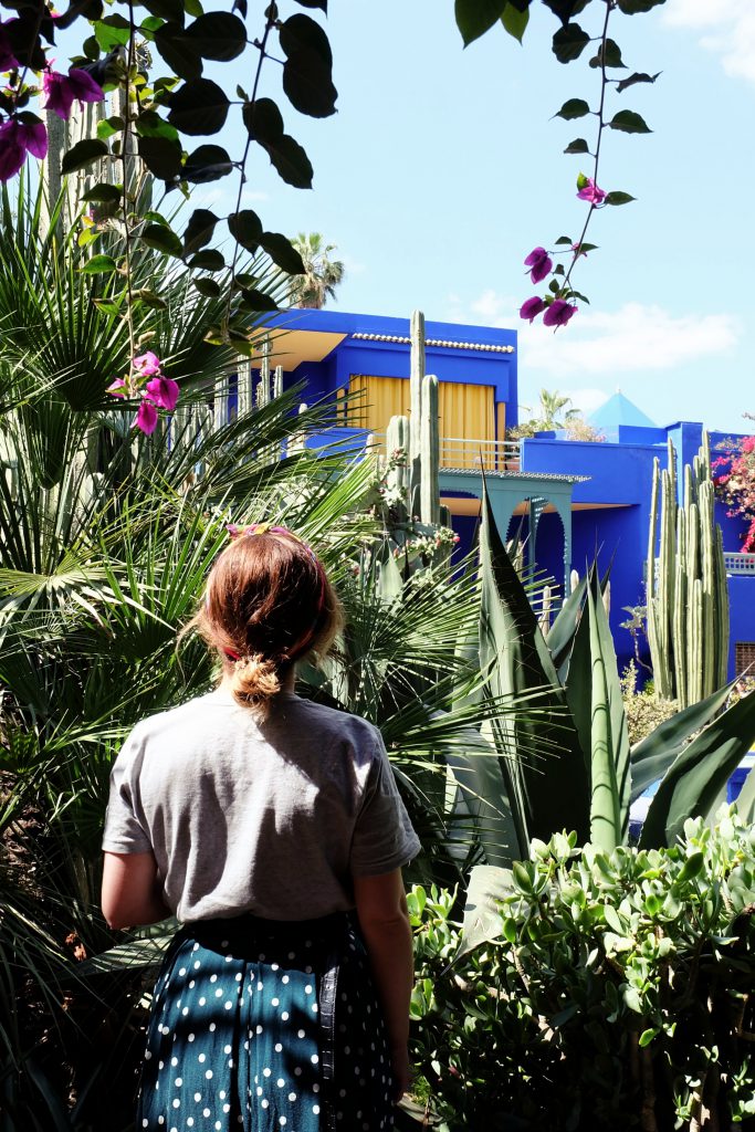 travel picture Jardin Majorelle Marrakech