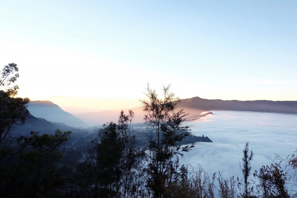 Misty morning Probolinggo sunrise Java Indonesia