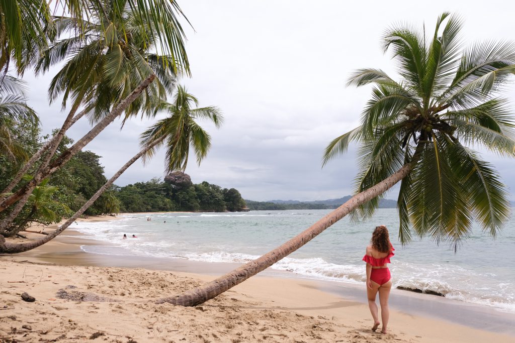 beach day palmtrees Playa Punta Uva Limon
