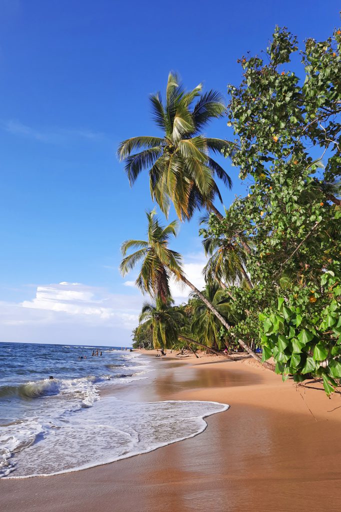 Playa Punta Uva Limon Costa Rica