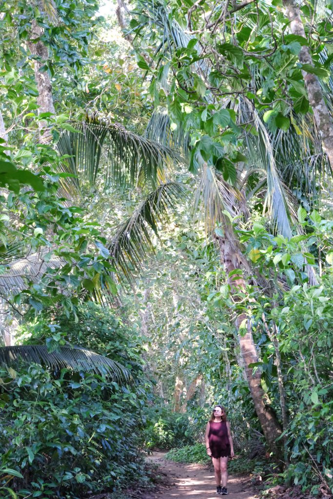 living the jungle life Costa Rica