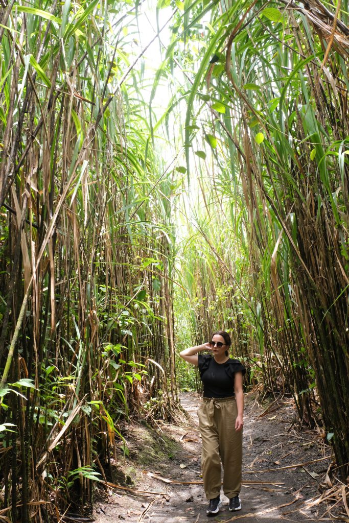 high grass hike Volcano Arenal National Park