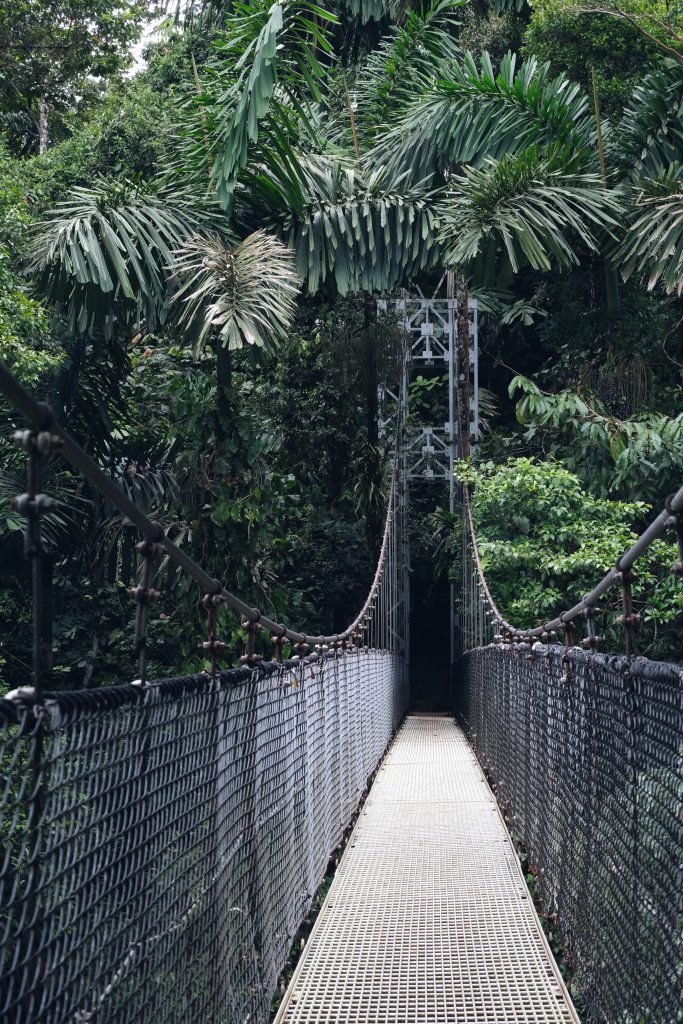 Mistico Hanging Bridge La Fortuna Costa Rica