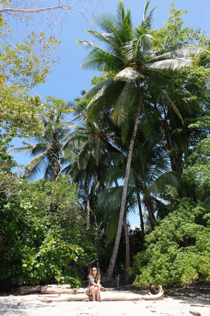 palmtrees Manuel Antonio NP Costa Rica