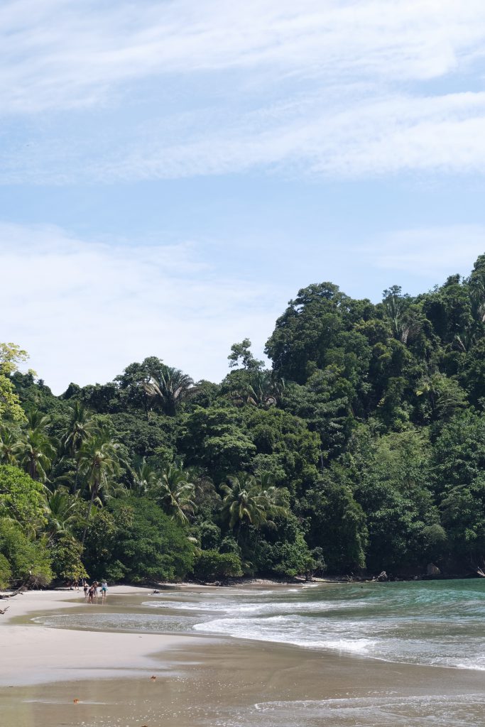 wildlife beach Manuel Antonio NP