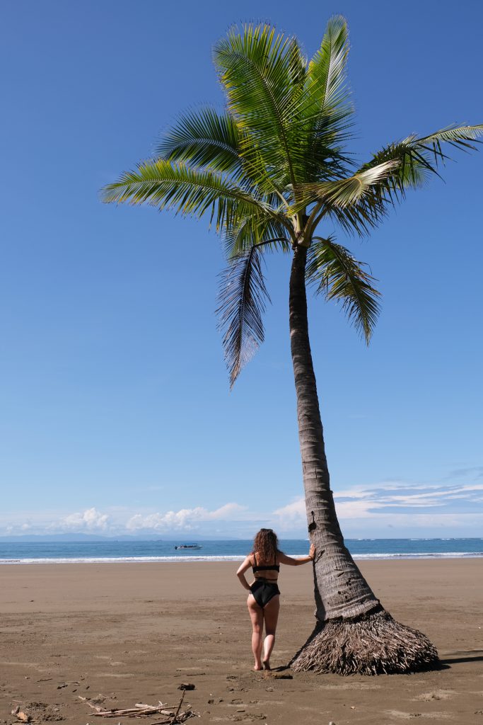 pamltree beach Marino Ballena NP Costa Rica