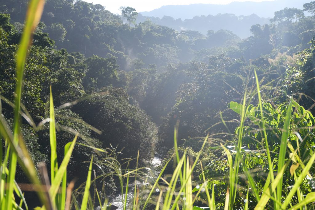 hike Nauyaca Waterfall Costa Rica