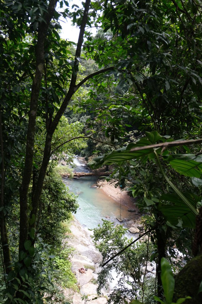 Rio Nauyaca jungle view