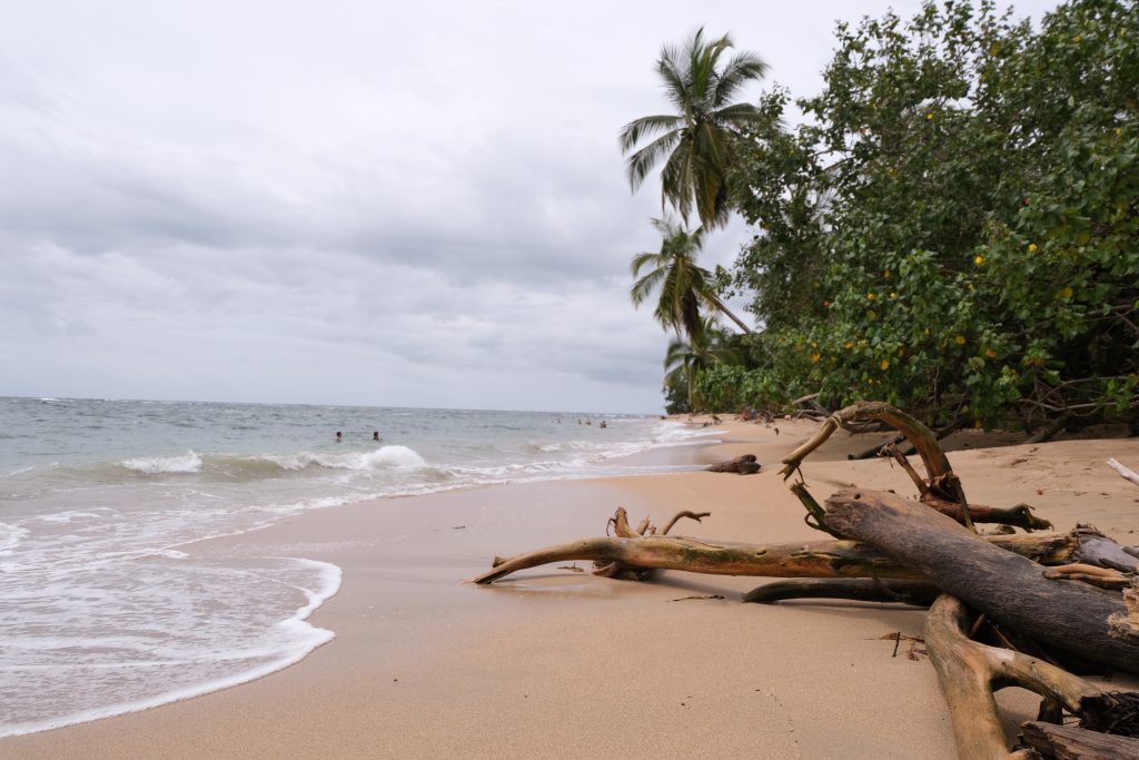 golden beach Caribbean Coast Costa Rica