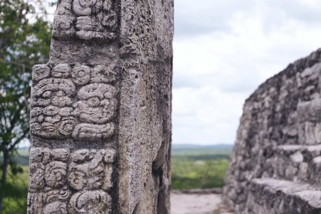 detailed Mayan drawings ruins Calakmul Mexico