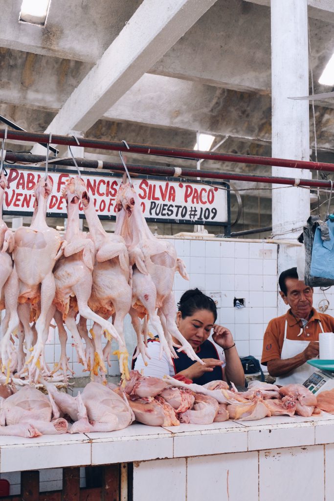 pollo mercado municipal Valladolid Mexico