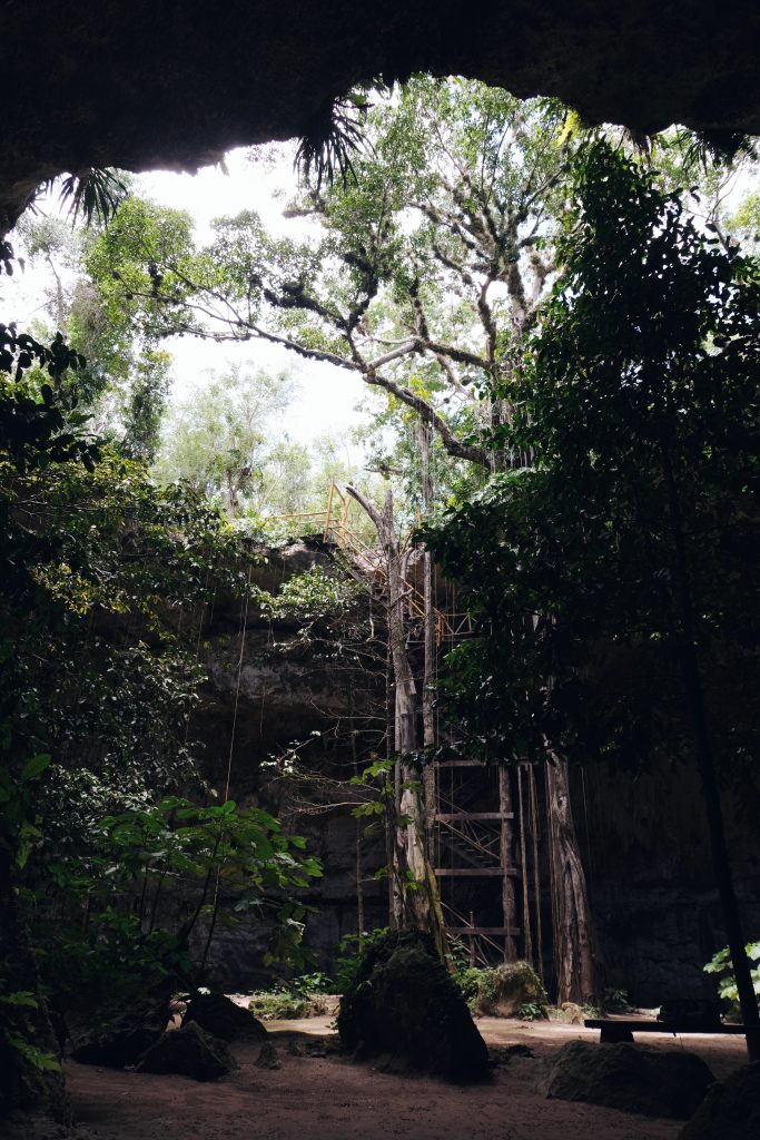 Cenote Sac Aua Yucatan Mexico