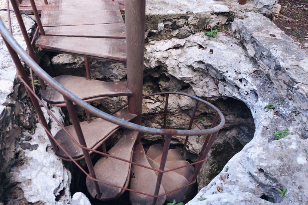 Entrance underground cenote