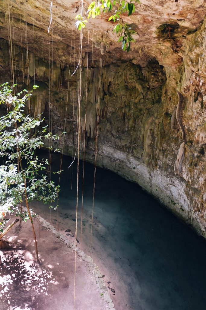 Cenote Sac Aua Ycatan mexico