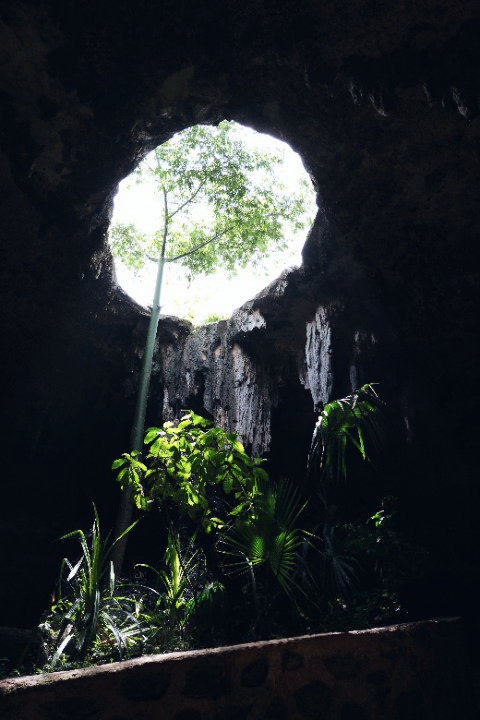 Cenote Pool Uinic Yucatan Mexico