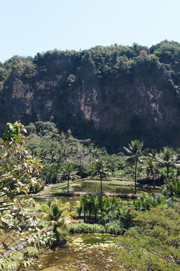 viewpoint Rammang Rammang Sulawesi