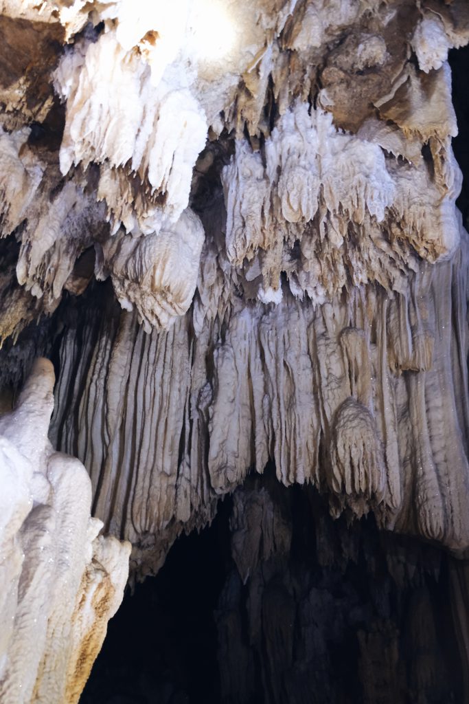 Firefly cave limestone Sulawesi