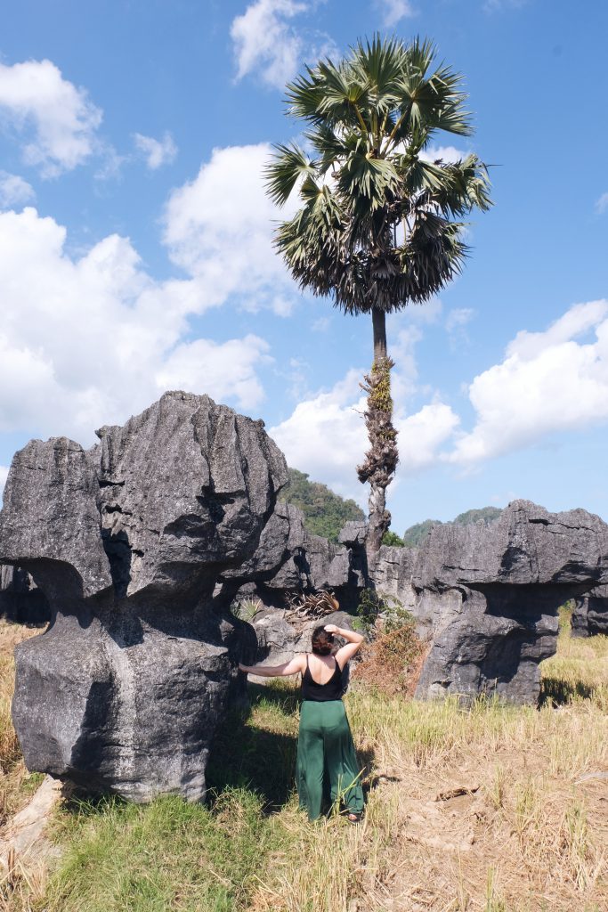 Stone garden Rammang Rammang South Sulawesi Indonesia