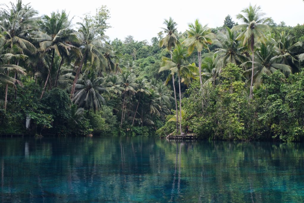 Paisupok Lake Banggai Islands Sulawesi