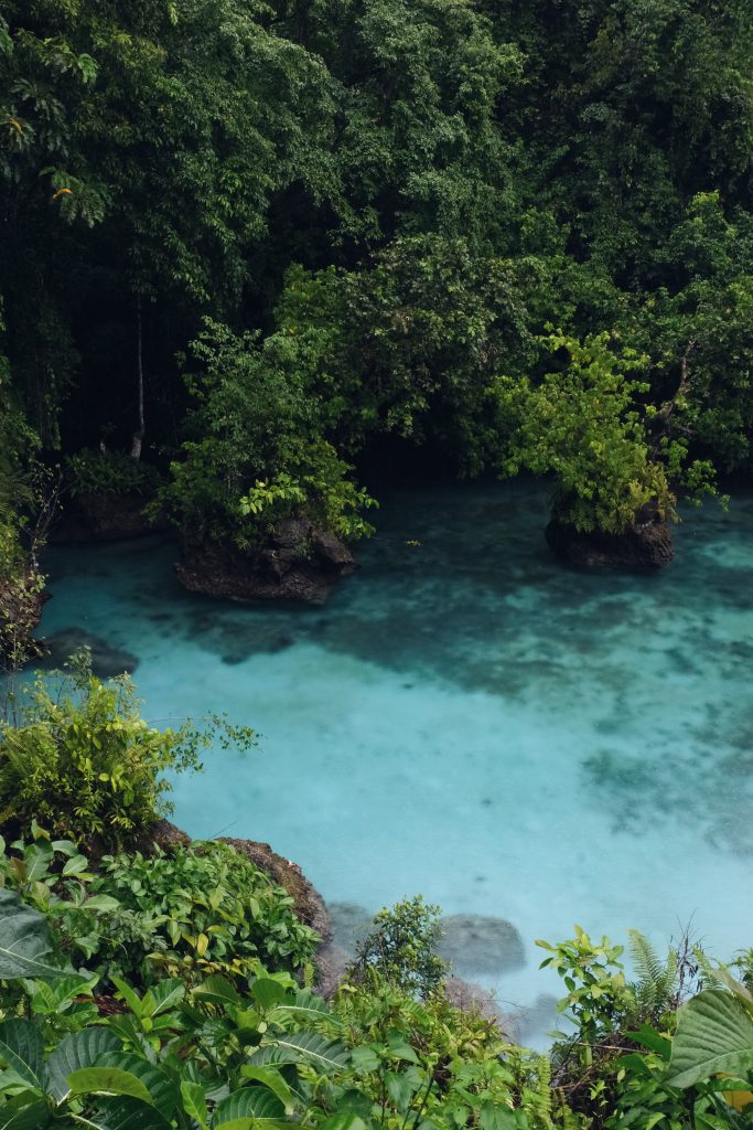 picture Paisubatango Lake Banggai Sulawesi