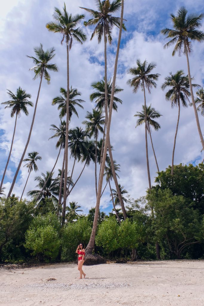 palm trees pantai Pompon Banggai Islands