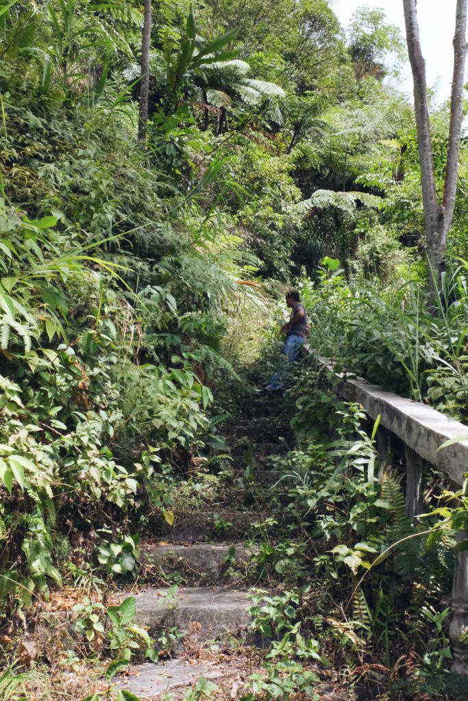 tour guide jungle trek Bukit Kasih North Sulawesi