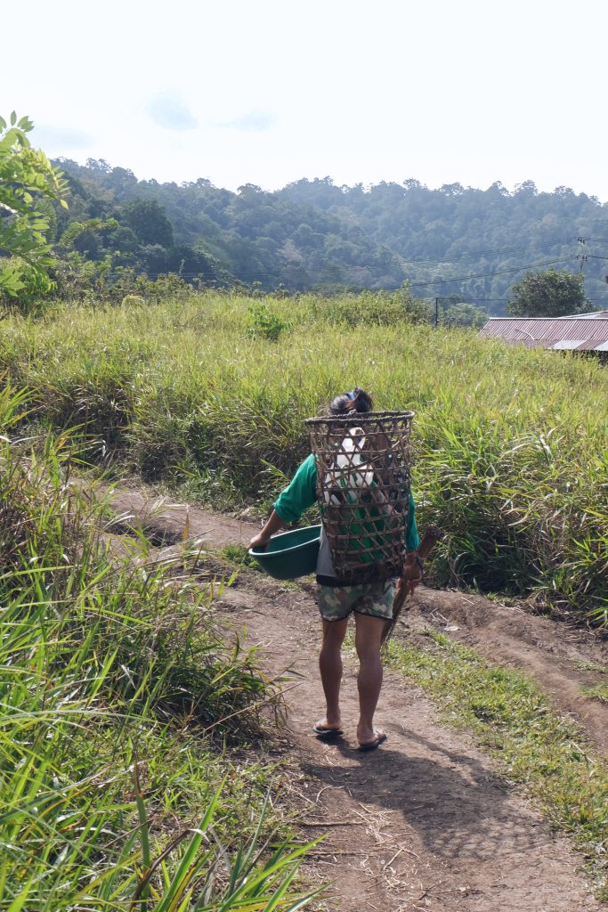 hike Kamumu Luwuk Central Sulawesi