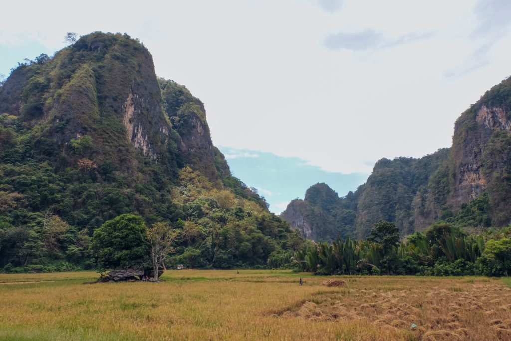 landscape Rammang Rammang South Sulawesi Indonesia